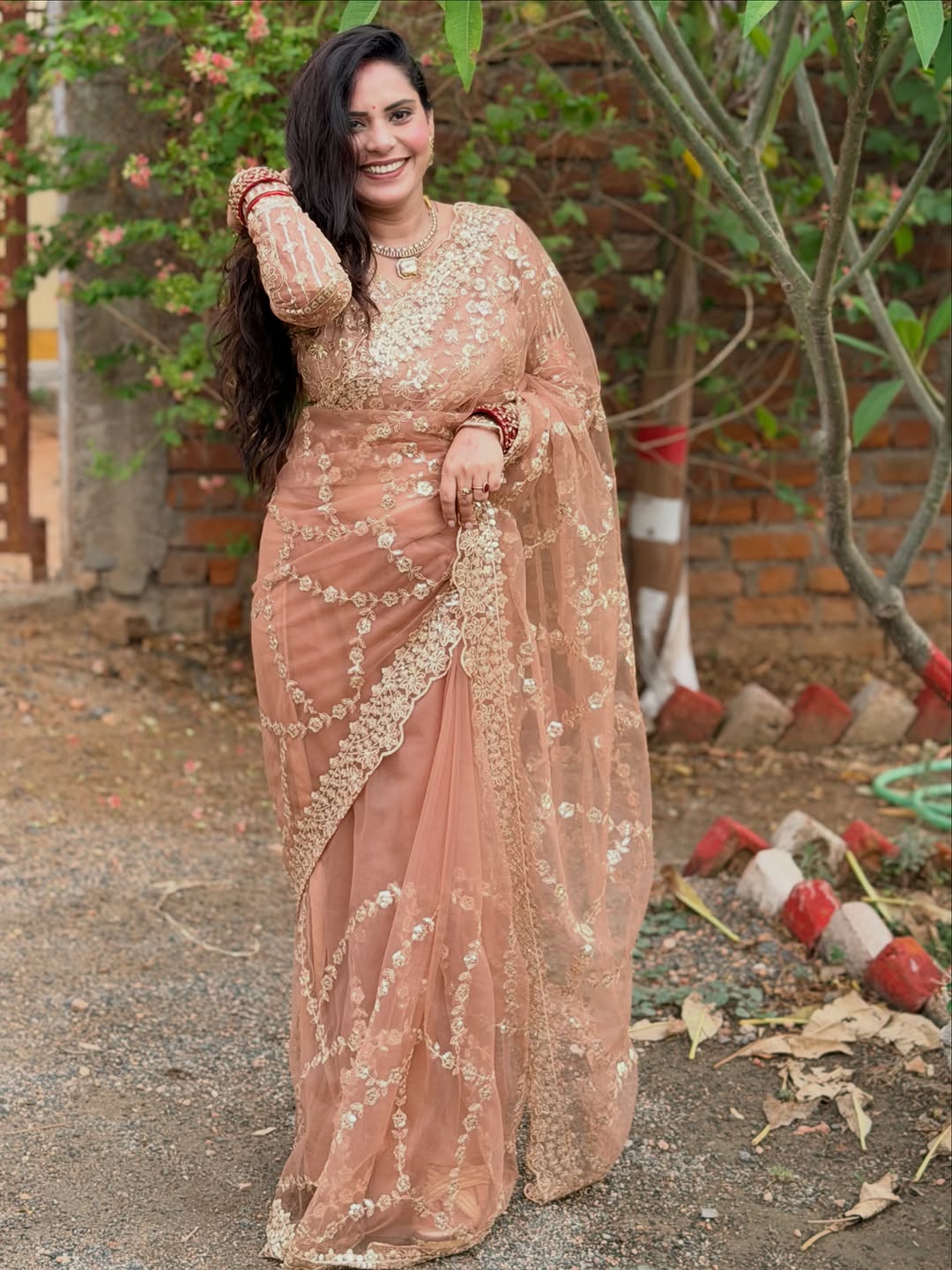 Premium Soft Net Saree with Sequins & Zari Embroidery