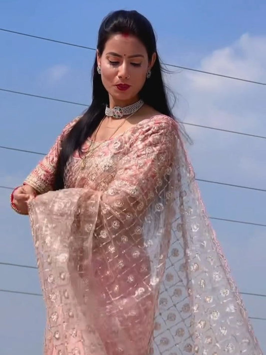 Premium Butterfly Net Saree with Sequins Brits C-Pallu Work
