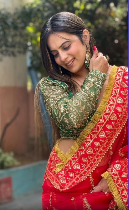 Soft Organza Silk Fabric sequence embroidery Work Saree