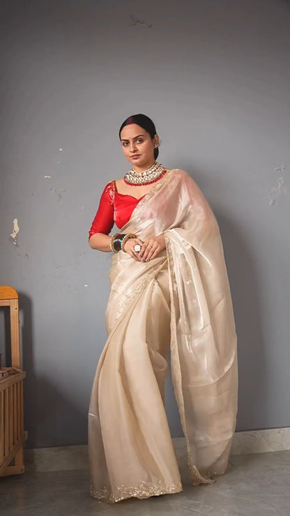 Soft Jimmi choo Sequins and katdana handwork Saree