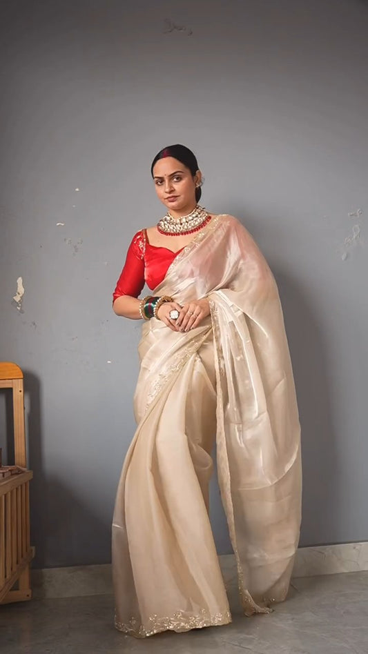 Soft Jimmi choo Sequins and katdana handwork Saree