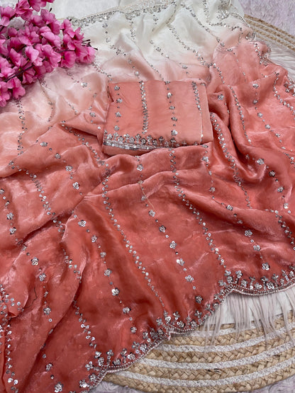 Beautiful Sequence Brits Work Saree