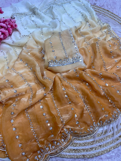 Beautiful Sequence Brits Work Saree