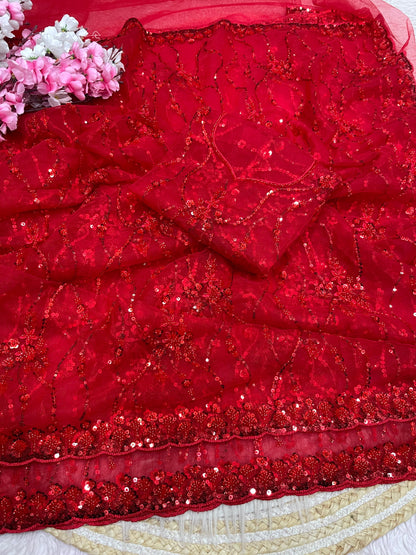 Designer Butterfly Net Saree with Arco Border & Embroidered Blouse