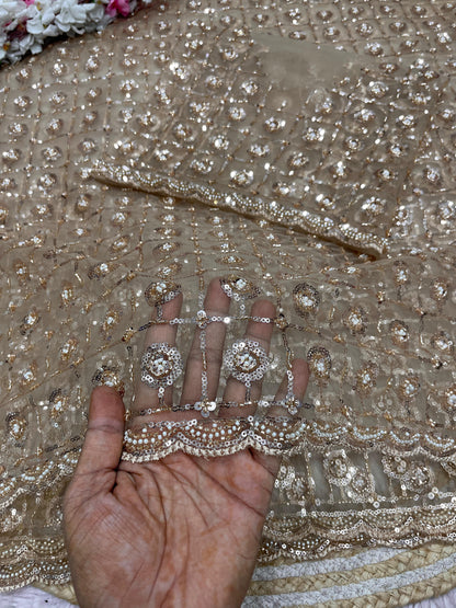 Premium Butterfly Net Saree with Sequins Brits C-Pallu Work