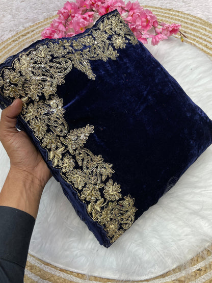 Beautiful Bollywood Velvet Saree